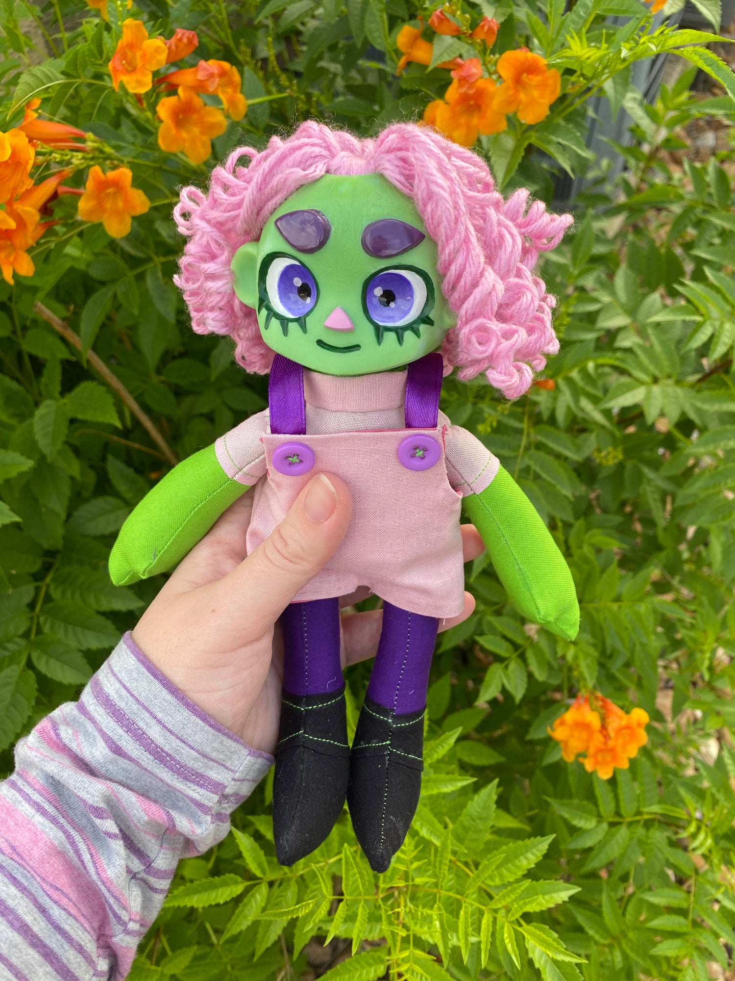 Charlie & Friends Ragdoll Series